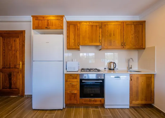 빌라 Ada 페티예