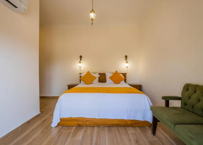 빌라 Ada 페티예