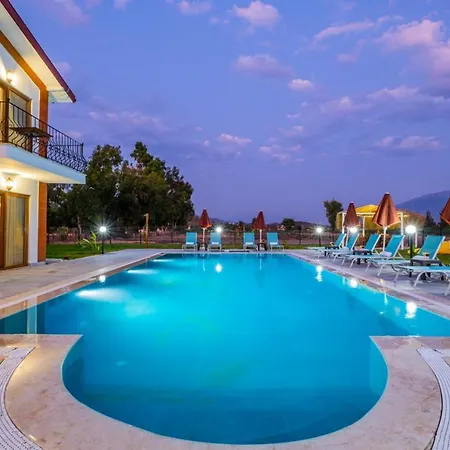 Ada فيلة *
